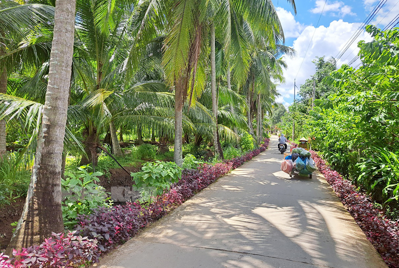 Thi đua “Đồng khởi mới” xây dựng nông thôn mới ở xã Tân Lợi Thạnh.