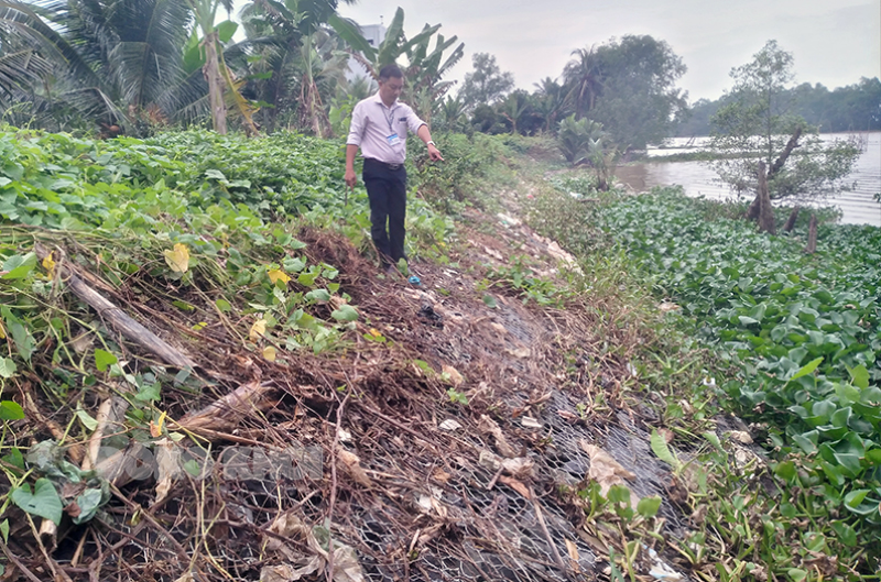 Bờ kè chống sạt lở, ngăn mặn ấp Định Lễ, xã Phú Đức.