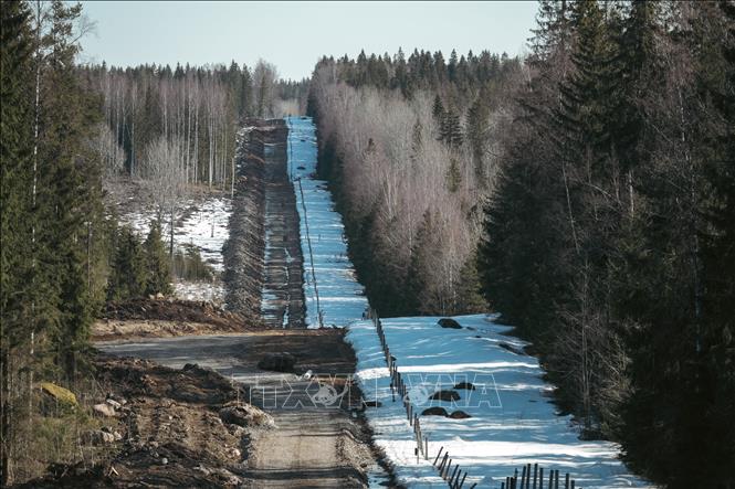 Xây dựng hàng rào biên giới giữa Nga và Phần Lan tại Imatra, Phần Lan ngày 14-4-2023. Ảnh: AFP/TTXVN