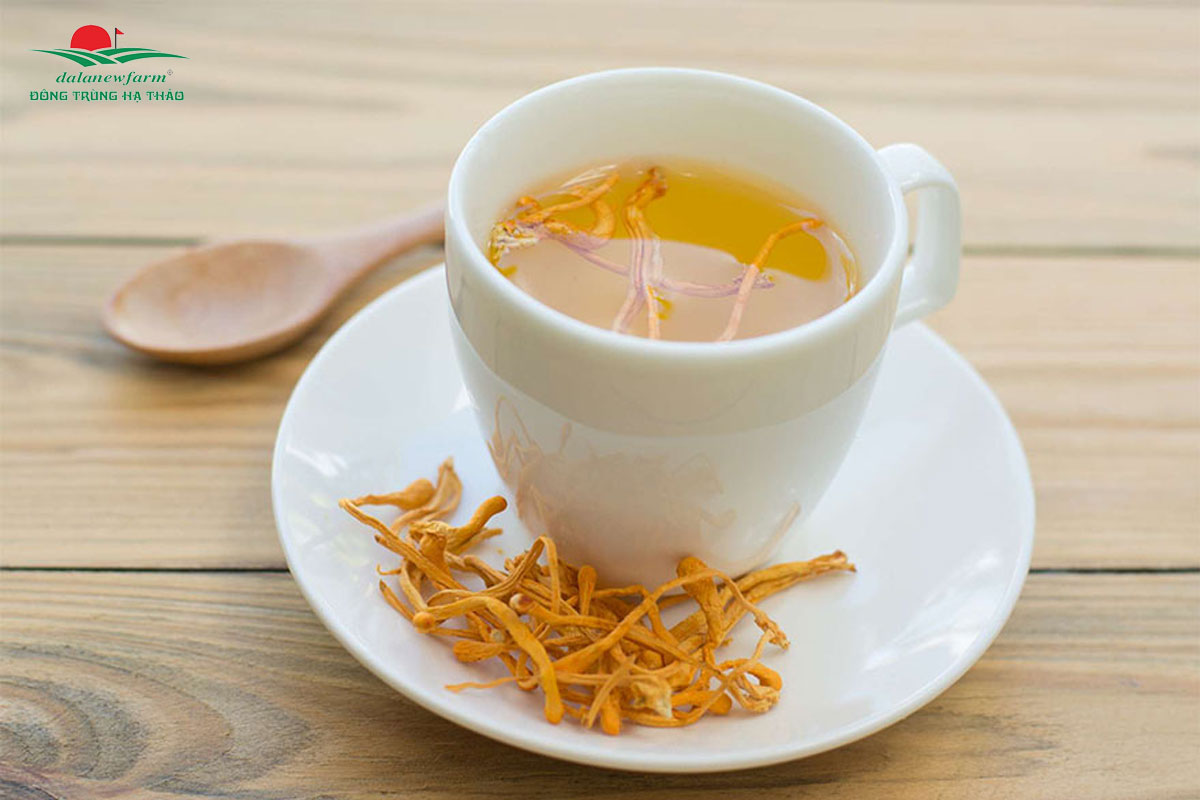 Có nên uống đông trùng hạ thảo thường xuyên không? Mua đông trùng hạ thảo ở đâu là tốt nhất?