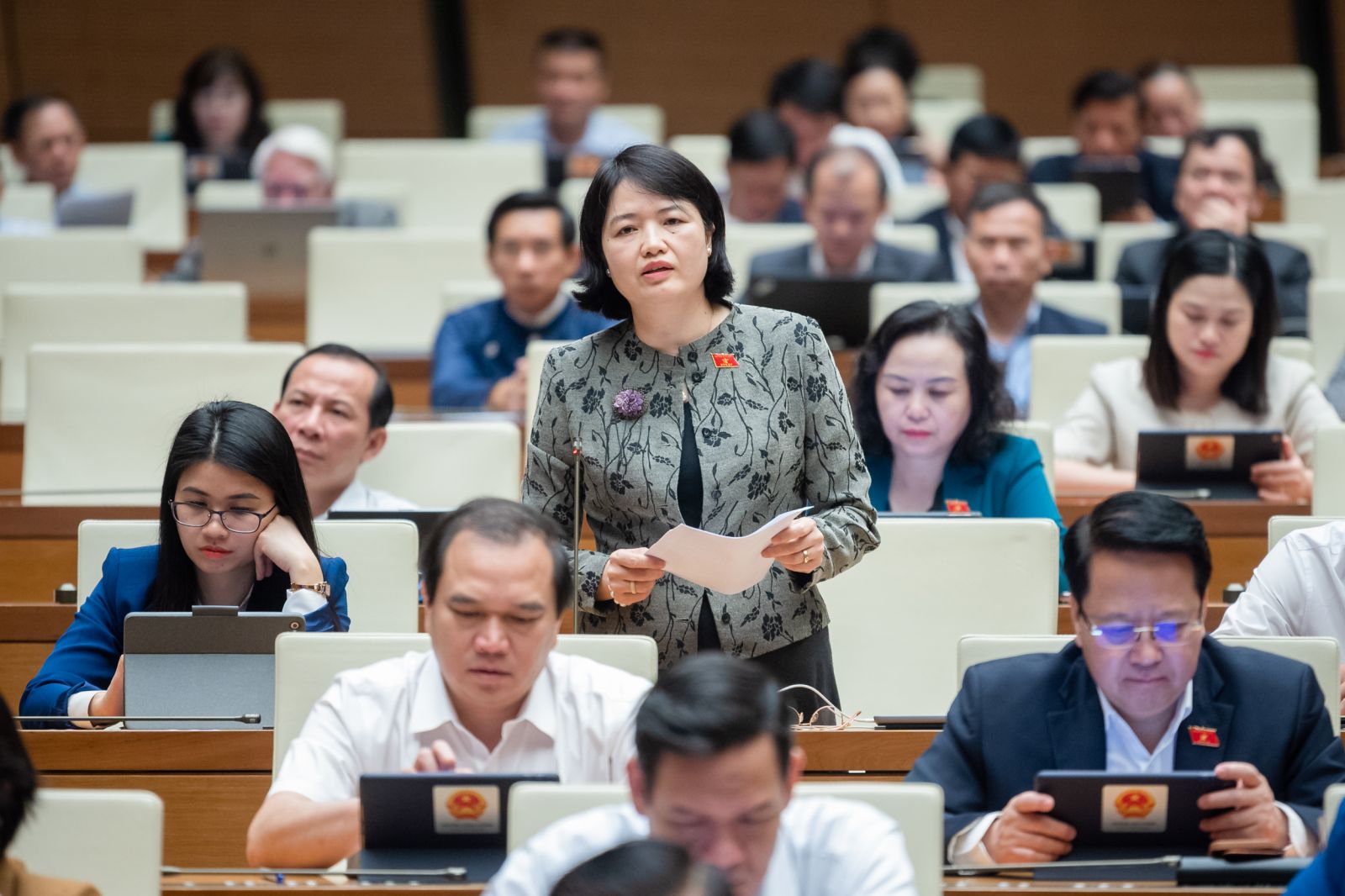 Dự thảo Luật Đường bộ: Cần rà soát để tránh chồng chéo, khó áp dụng Đại biểu Nguyễn Thị Mai Thoa phát biểu. Ảnh: CTV/Vietnam+