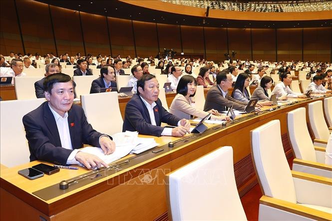 Đoàn đại biểu Quốc hội tỉnh Hải Dương biểu quyết thông qua Luật Căn cước. Ảnh: Doãn Tấn/TTXVN