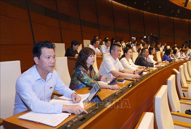 Đoàn đại biểu Quốc hội tỉnh Hà Giang biểu quyết thông qua Luật Nhà ở (sửa đổi). Ảnh: Doãn Tấn/TTXVN