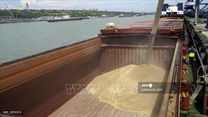 Chuyển lúa mì lên tàu hàng tại cảng quốc tế Rostov-on-Don, Nga. Ảnh: AFP/TTXVN