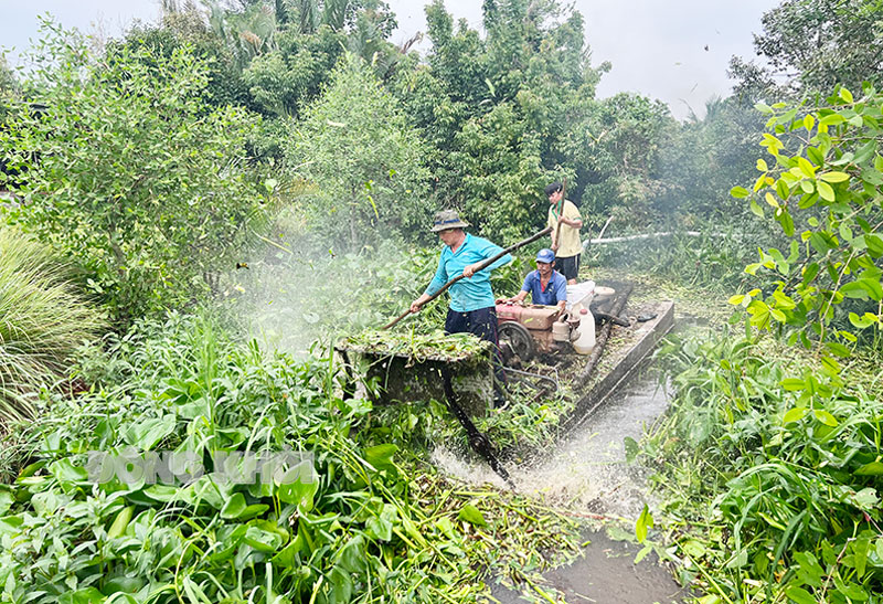 Phá lục bình, khơi thông dòng chảy trên sông Rạch Mít.