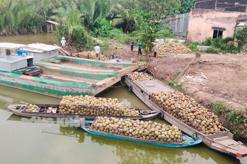 Đời sống kinh tế của người dân ấp Lộc Hòa, xã Lộc Thuận ngày càng khởi sắc.