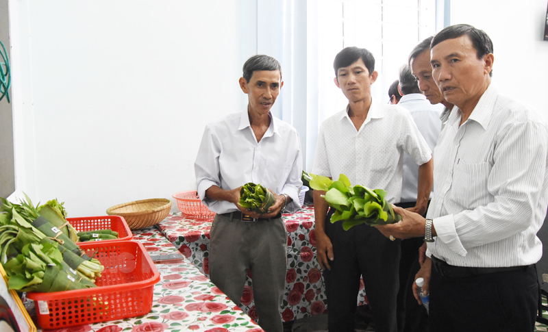 Duy trì và phát triển mô hình sản xuất rau hữu cơ theo tiêu chuẩn PGS Các nhóm rau hữu cơ theo tiêu chuẩn GPS trưng bày sản phẩm tại hội nghị tổng kết.