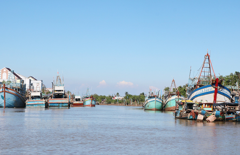 Tàu đánh bắt hải sản neo đậu chờ ra khơi tại huyện Bình Đại.