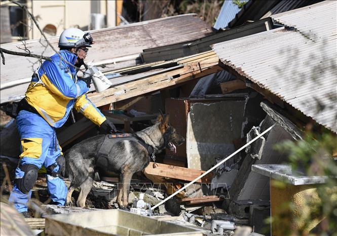 Lực lượng cứu hộ tìm kiếm người mất tích sau động đất tại tỉnh Ishikawa, Nhật Bản ngày 6-1-2024. Ảnh: Kyodo/TTXVN