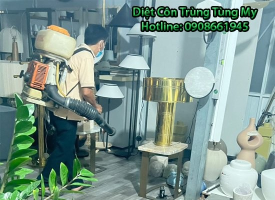 Tùng My - Địa chỉ diệt diệt mối tận gốc và hiệu quả