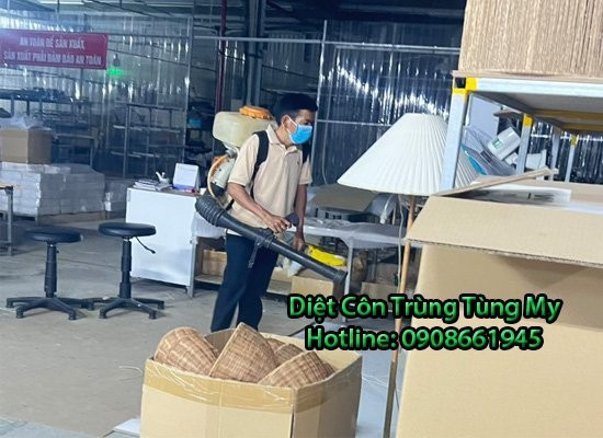 Tùng My - Địa chỉ diệt diệt mối tận gốc và hiệu quả