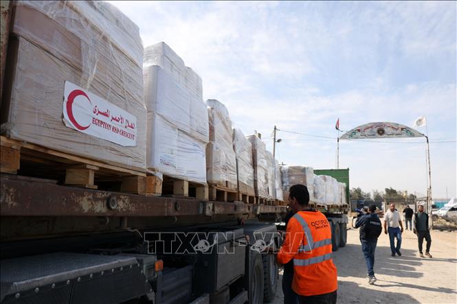 Xe tải chở hàng viện trợ nhân đạo vào Dải Gaza từ Ai Cập, qua cửa khẩu Rafah, ngày 21-10-2023. Ảnh tư liệu: AFP/TTXVN