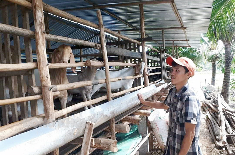 Chăn nuôi dê phát triển kinh tế góp phần kéo giảm tỷ lệ hộ nghèo tại địa phương. Ảnh: Hoàng Khải.