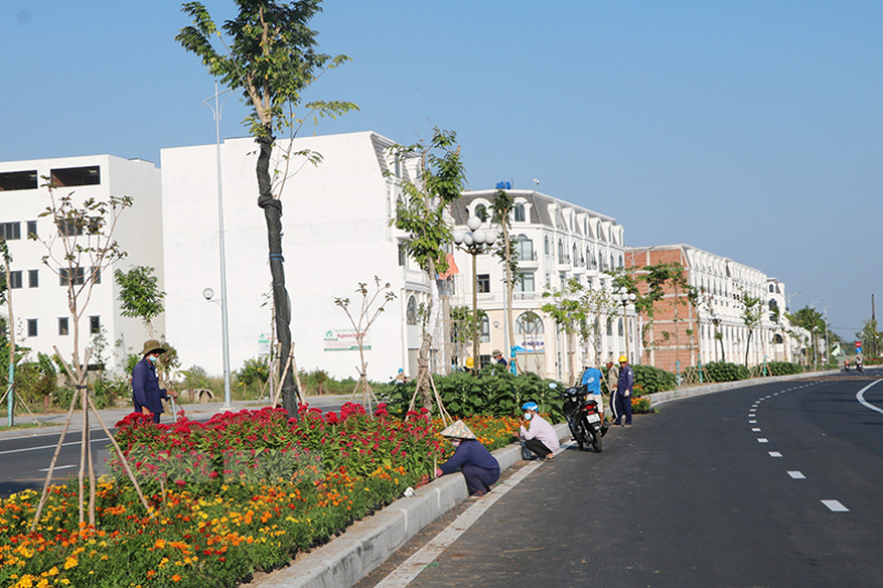 Trang trí tuyến đường hoa từ vòng xoay Đông Tây vào khu phố chợ Phú Khương, TP. Bến Tre.