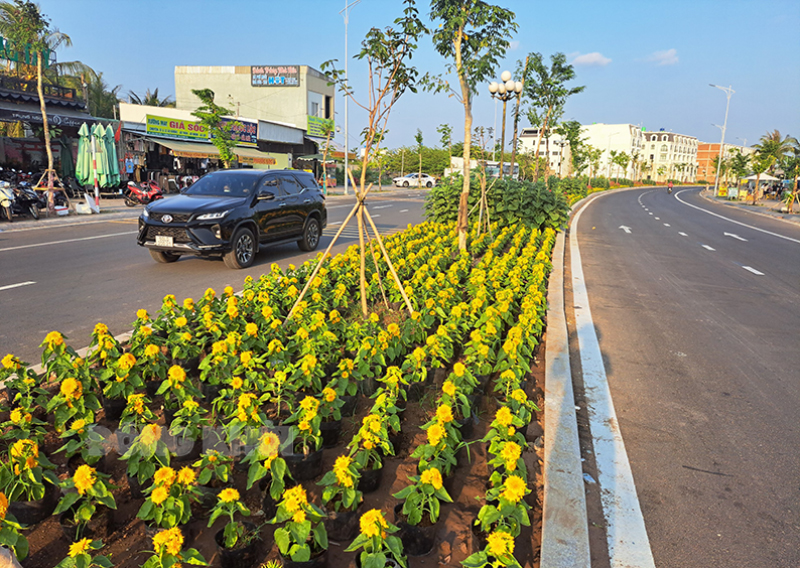 Đường hoa Đại lộ Đông Tây.