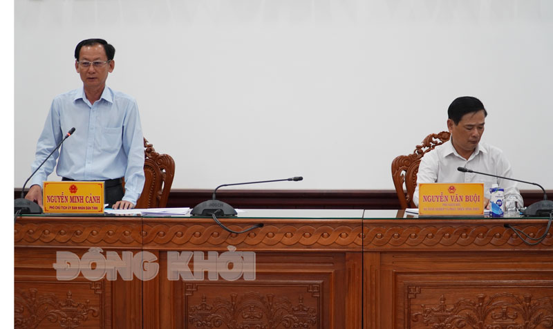 Phó chủ tịch UBND tỉnh Nguyễn Minh Cảnh phát biểu tại hội nghị