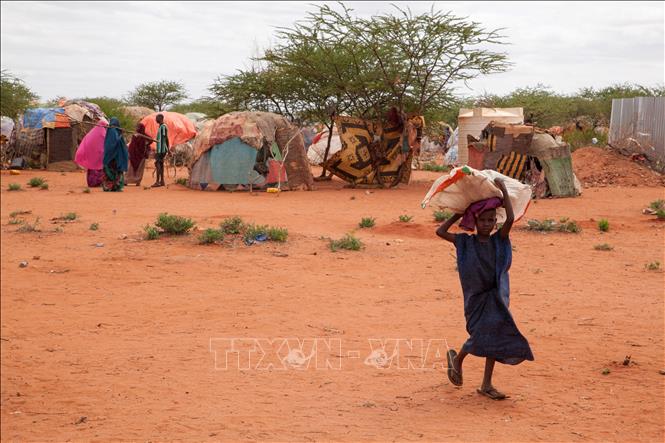 Người dân được sơ tán tránh hạn hán tại trại tạm ở Werder, Ethiopia. Ảnh: AFP/TTXVN