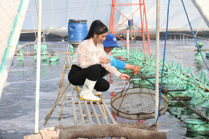 Mô hình nuôi tôm biển công nghệ cao của chị Phan Thị Mỹ Linh, xã Bình Thạnh (Thạnh Phú).