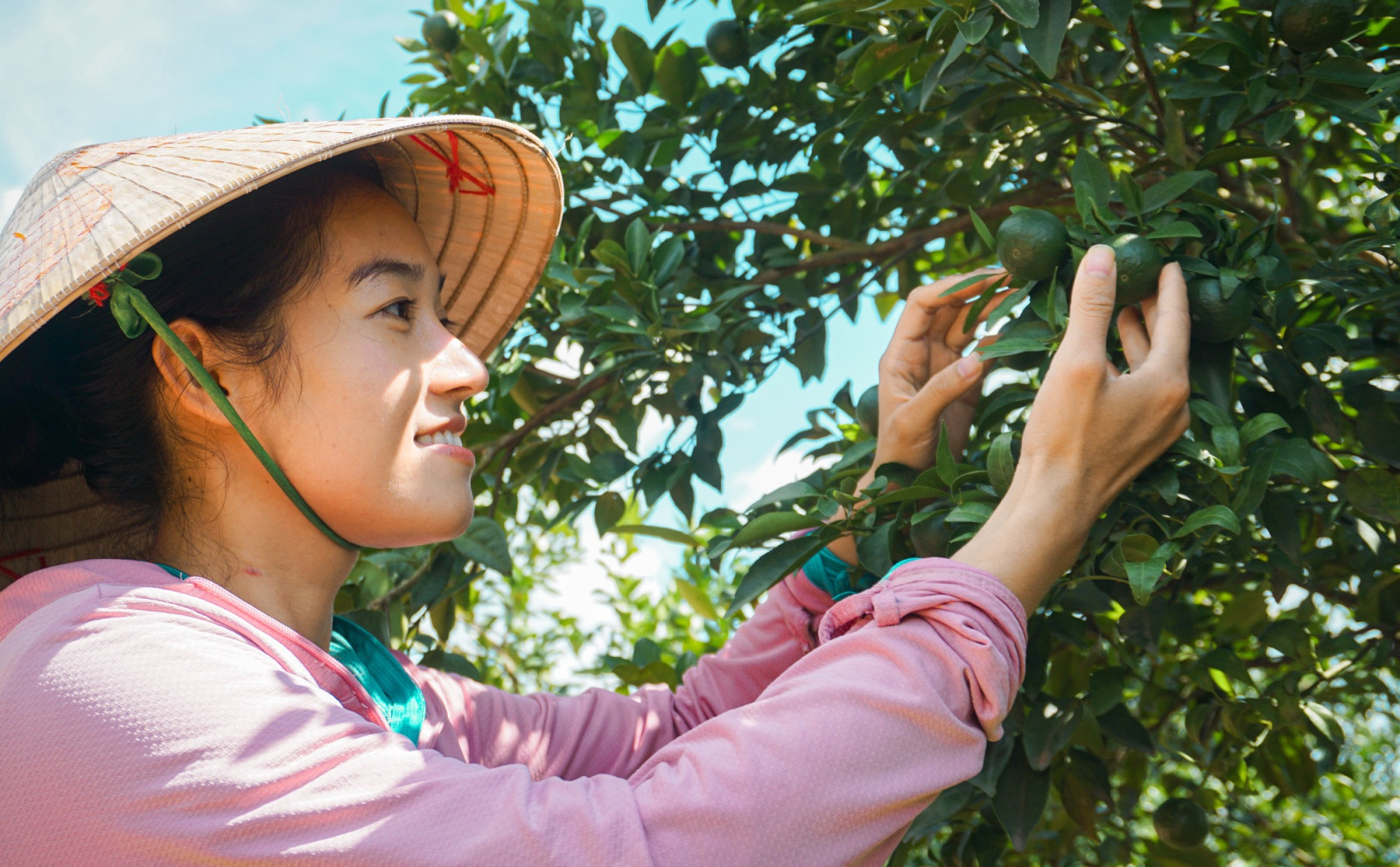 Chị Tiên bên vườn quýt trĩu quả. Ảnh: Thượng Hải