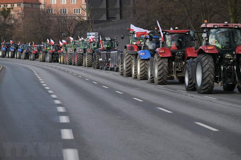 Nông dân Ba Lan tuần hành yêu cầu bãi bỏ các lợi ích mà Liên minh châu Âu (EU) dành cho tài xế xe tải từ Ukraine, tại Gdansk, ngày 20-2-2024. (Ảnh: PAP/TTXVN)