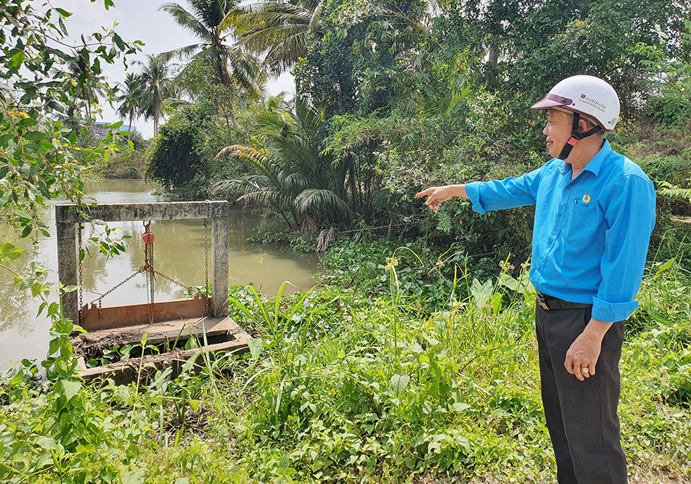 Tích cực, chủ động ứng phó xâm nhập mặn