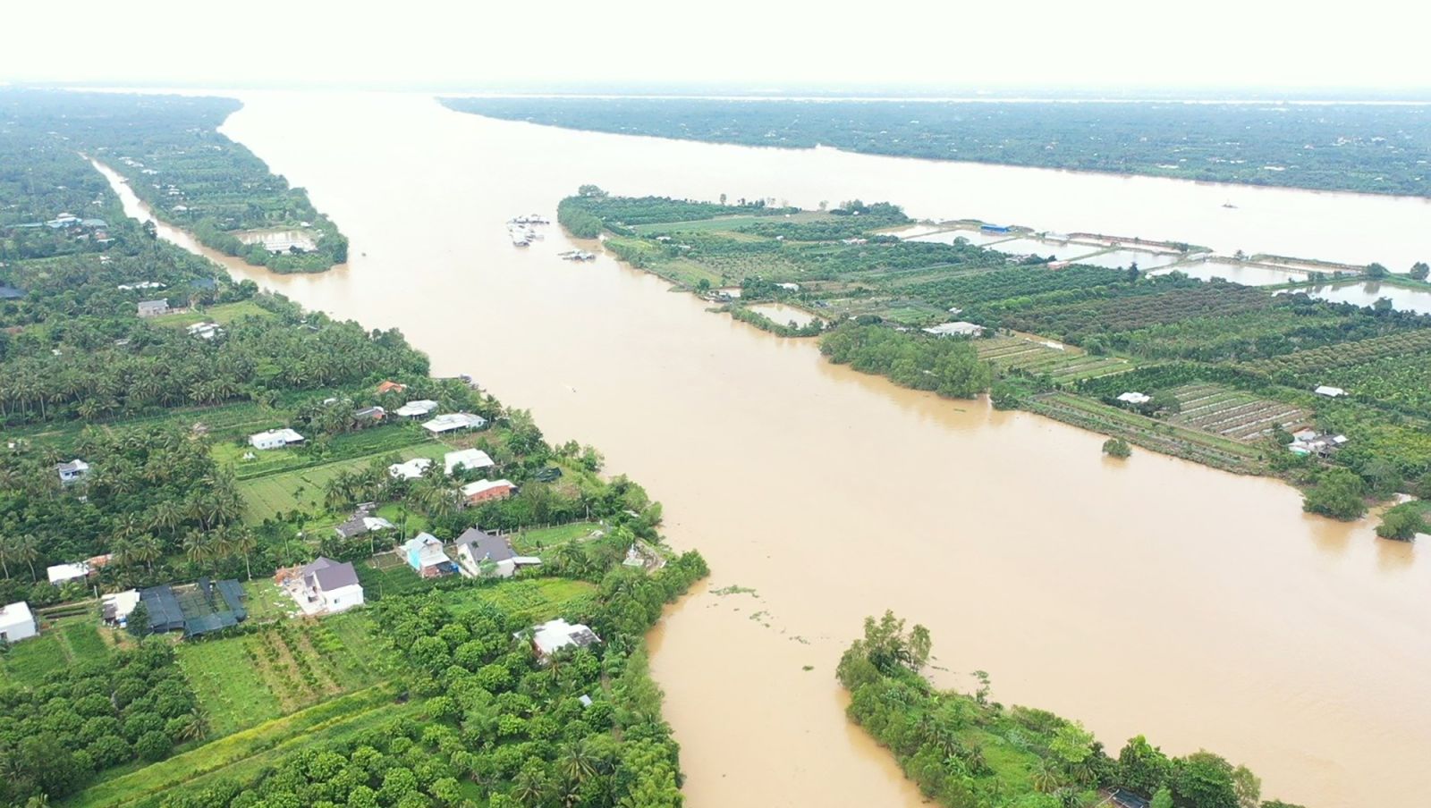 Tích cực, chủ động ứng phó xâm nhập mặn