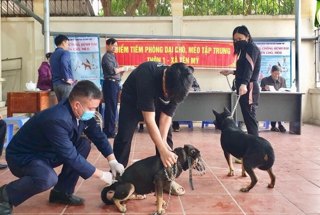 Chỉ đạo, điều hành của Chính phủ, Thủ tướng Chính phủ nổi bật tuần từ 11 – 15-3-2024 Tổ chức thực hiện nghiêm việc tiêm vắc xin phòng bệnh Dại cho chó, mèo, bảo đảm tối thiểu trên 80% tổng đàn chó, mèo trên từng địa bàn được tiêm phòng dại trong năm 2024