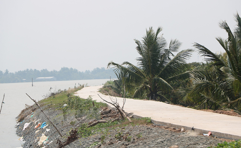 Bình Đại: Một số mục tiêu, nhiệm vụ trọng tâm năm 2024 Hơn 20km đê bao xã Tam Hiệp (Bình Đại) đang khẩn trương thi công, dự kiến quý III năm 2024 hoàn thành. Ảnh: T. Thảo