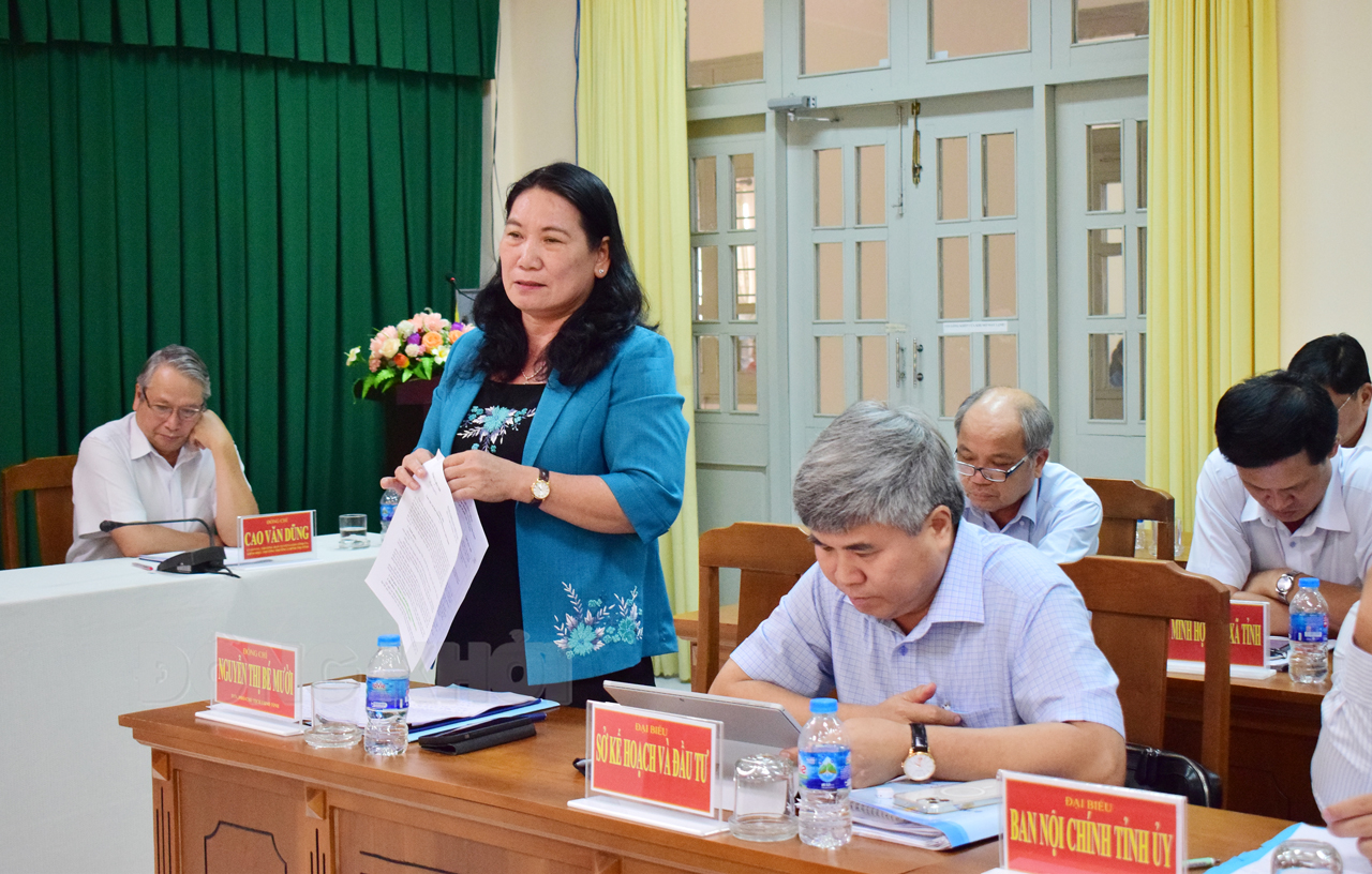 ​Phó chủ tịch UBND tỉnh Nguyễn Thị Bé Mười phát biểu tại buổi làm việc.