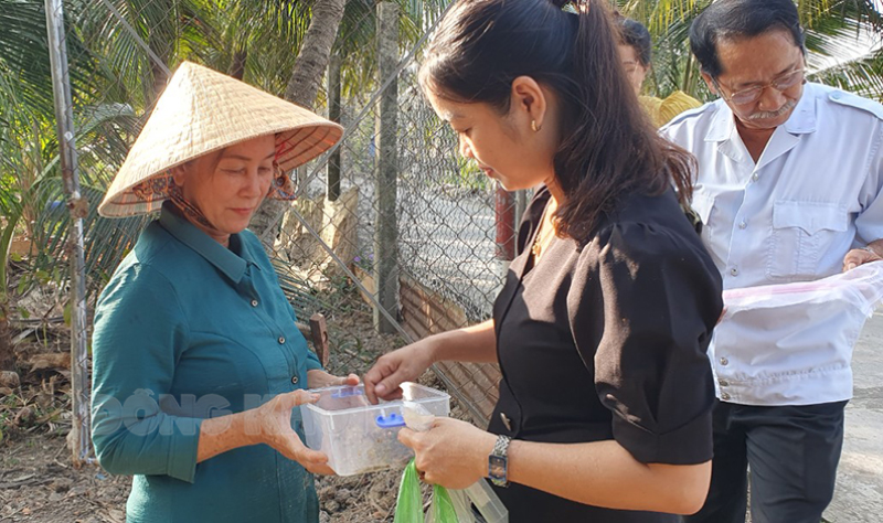 Nhân viên kỹ thuật Phòng Trồng trọt và Bảo vệ thực vật, Chi cục Trồng trọt và Bảo vệ thực vật tỉnh hướng dẫn người dân thả ong ký sinh tại vườn.