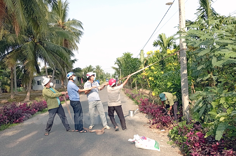Ấp Tân Hưng xây dựng chi bộ trong sạch, vững mạnh toàn diện Ra quân làm đẹp đường nông thôn ấp Tân Hưng, xã Châu Hưng (Bình Đại).