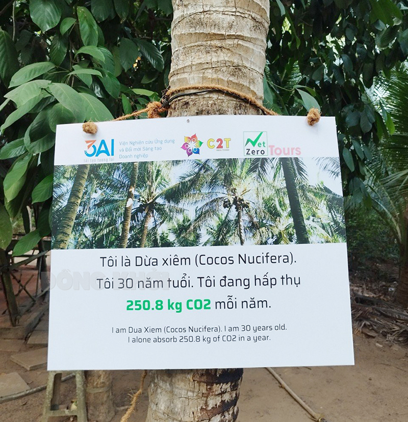 Trường Đại học Cần Thơ đã nghiên cứu, xây dựng tín chỉ các-bon cho cây dừa tại địa bàn huyện Giồng Trôm, tỉnh Bến Tre.