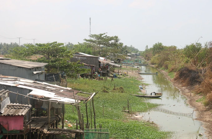 Kênh mương trong vùng ngọt hóa huyện Trần Văn Thời khô cạn.