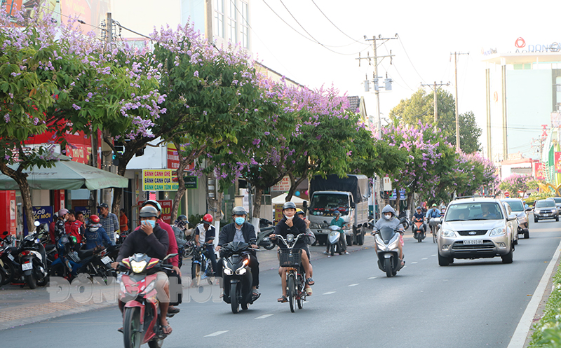 Người dân cần chấp hành các quy định của pháp luật về trật tự, an toàn giao thông để đảm bảo an toàn giao thông.