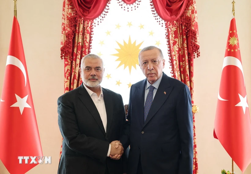 Tổng thống Thổ Nhĩ Kỳ Recep Tayyip Erdogan (phải) và thủ lĩnh Phong trào Hồi giáo Hamas Ismail Haniyeh tại cuộc gặp ở Istanbul, Thổ Nhĩ Kỳ, ngày 20-4-2024. Ảnh: AFP/TTXVN