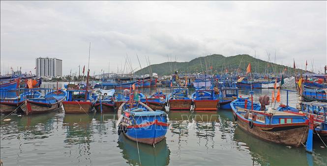 Tàu cá neo đậu tại cảng cá Hòn Rớ (xã phước Đồng, thành phố Nha Trang, Khánh Hòa). Ảnh minh họa: Nguyễn Dũng/TTXVN