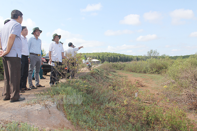 Thống nhất hoạt động của Tiểu ban Tuyên truyền, vận động giải phóng mặt bằng thực hiện Dự án xây dựng cầu Ba Lai 8 Đoàn khảo sát thực tế mặt bằng Dự án Xây dựng cầu Ba Lai 8 tại xã Bảo Thạnh, huyện Ba Tri.