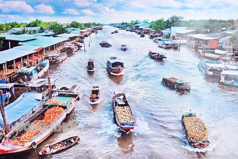 Chợ dừa sông Thom đoạn xã Khánh Thạnh Tân, huyện Mỏ Cày Bắc.