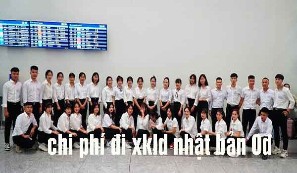 Xuất khẩu lao động Nhật Bản, có nên đi hay không ở thời điểm hiện tại?
