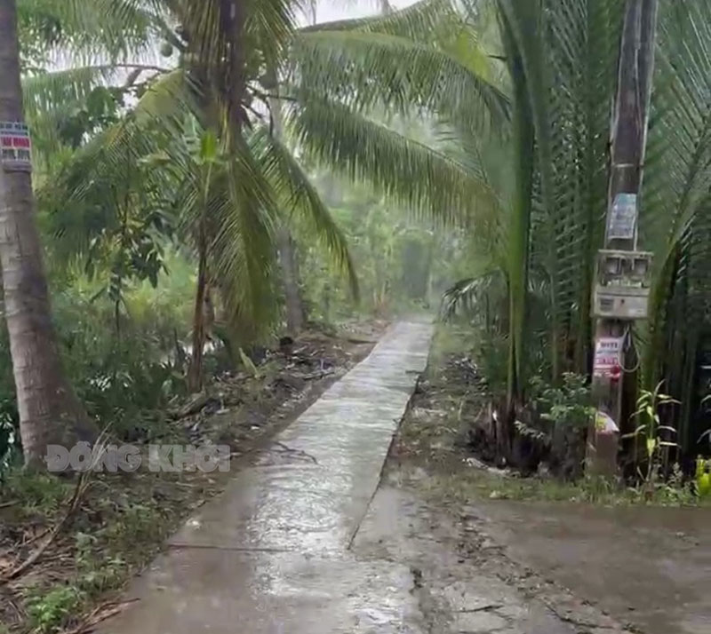 Cảnh báo mưa giông, lốc, sét tỉnh Bến Tre Nhiều nơi trên địa bàn tỉnh đón cơn mưa chuyển mùa.