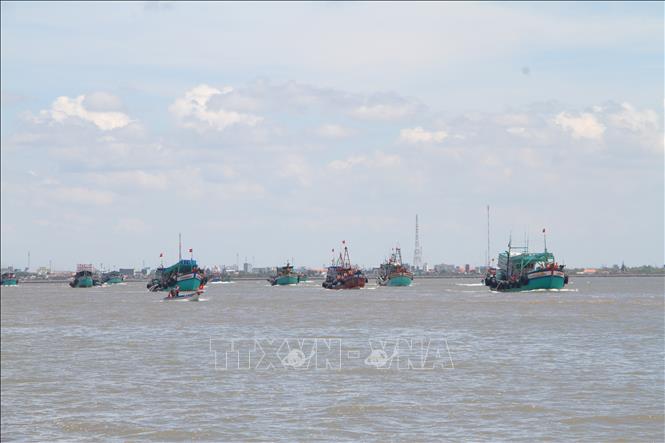 Các tàu đang hoạt động trên vùng biển Bạc Liêu. Ảnh minh họa: Chanh Đa/TTXVN