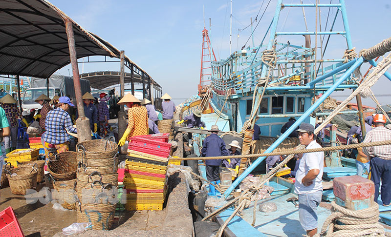 Tỉnh tăng cường quản lý  tàu cá xuất nhập cảng góp phần chống khai thác IUU.