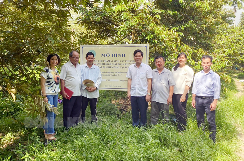 Đoàn khảo sát mô hình nghiên cứu chế phẩm sinh học phục hồi cây sầu riêng bị nhiễm mặn tại xã Tân Thiềng (Chợ Lách). Ảnh: CTV