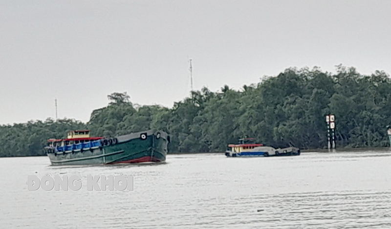 Thường xuyên theo dõi độ mặn trên các sông để chủ động nguồn nước chăm sóc cây trồng, vật nuôi.