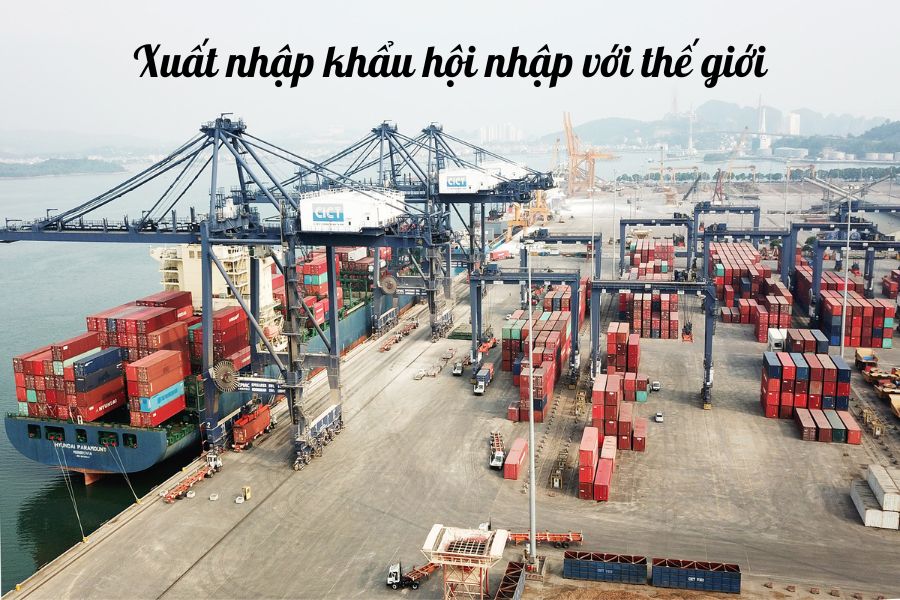 Học xuất nhập khẩu ra làm gì? Cơ hội việc làm có thực sự hấp dẫn