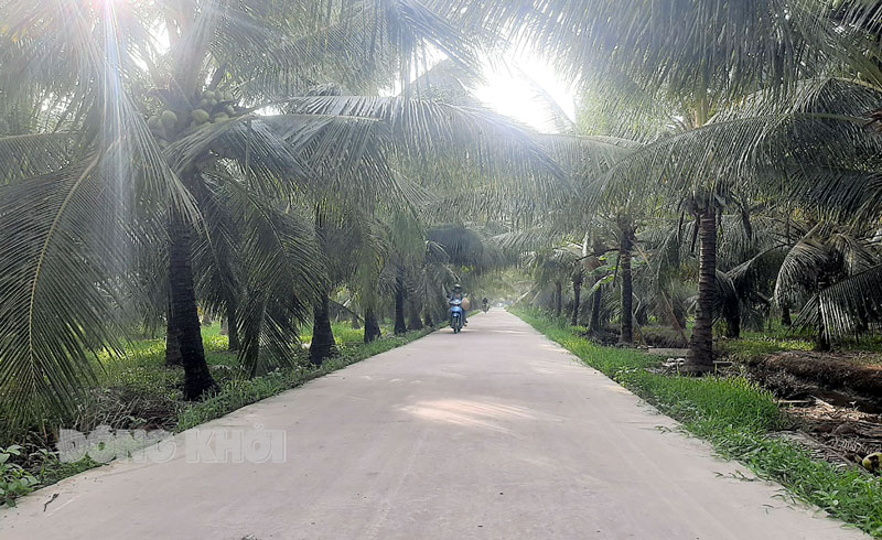 Lộ nông thôn mới xã Tân Phong.