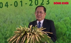 Khánh thành Nhà máy chế biến dừa BEINCO
