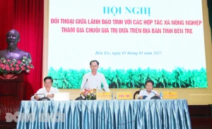 Đối thoại giữa lãnh đạo tỉnh với các hợp tác xã nông nghiệp tham gia chuỗi giá trị dừa