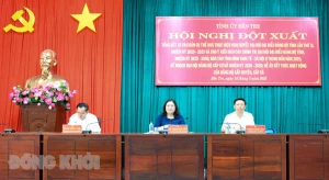 Hội nghị đột xuất Ban Chấp hành Đảng bộ tỉnh khóa XI