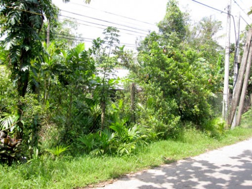 Một quyết định có hiệu lực pháp luật hơn hai năm chưa được thi hành!